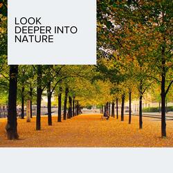 Auspicious Birds Blessings