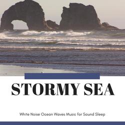 Delight Within the Ocean
