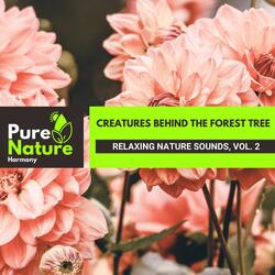 Ambient Buzzing of the Forest Insects