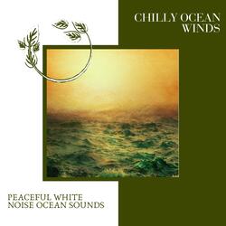 Global Oceanic View