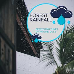 Miracle of Heavy Rain