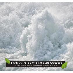 Relaxing Oceanic Birds Noise