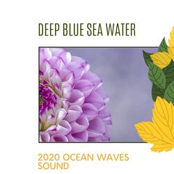 Bubbly Ocean Melodies