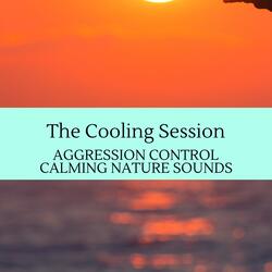 Soft and Restful Waves Sound