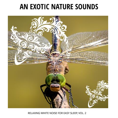 An Exotic Nature Sounds - Relaxing White Noise for Easy Sleep, Vol. 2