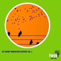 Joyful Birdsong
