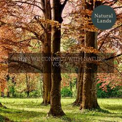 Memorable Tropical Forest Night