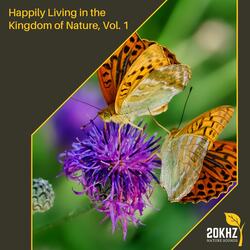 Night Relaxation Oceanic Motion