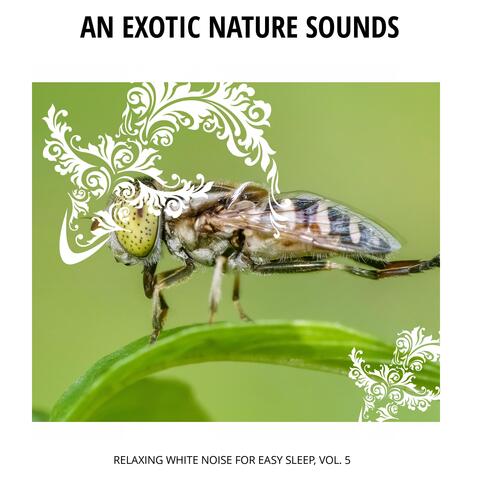 An Exotic Nature Sounds - Relaxing White Noise for Easy Sleep, Vol. 5