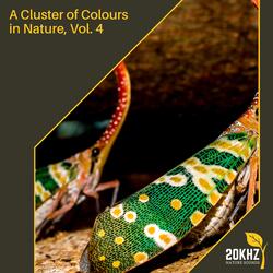 Beautiful Nature of Waterfall