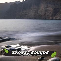 White Noise Nature Rain Sound