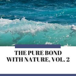 Dark Shores of Island