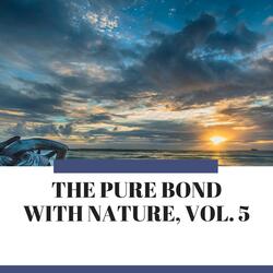 Indispensable Ocean Vibes