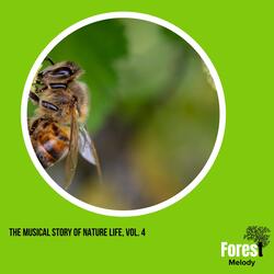 Apsidal Choir of Crickets