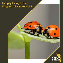 Love and Piano Noise Fx