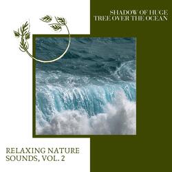 Soothing Ocean Rhythms