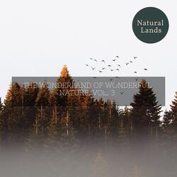 Supercilious Water Dripping