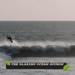 Sea Waves and Oceanic Birds