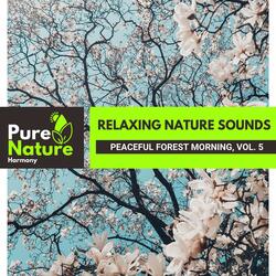 Tuneful Waterflowing