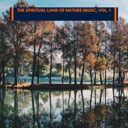 The Fireworks At Night