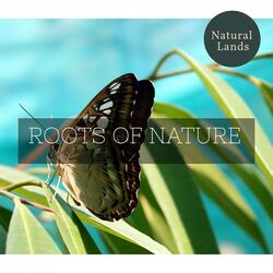 Morbid Water Dripping