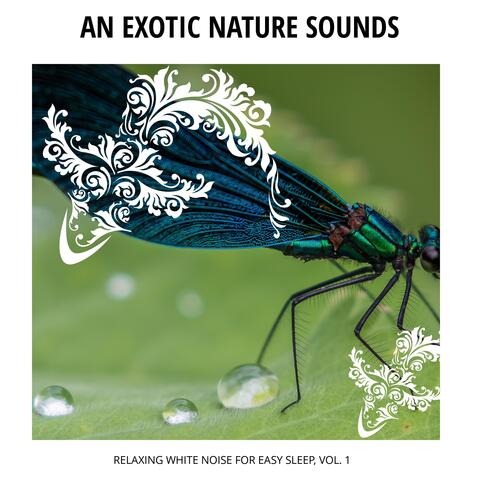 An Exotic Nature Sounds - Relaxing White Noise for Easy Sleep, Vol. 1