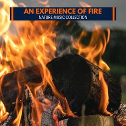 Echo Fire Noise