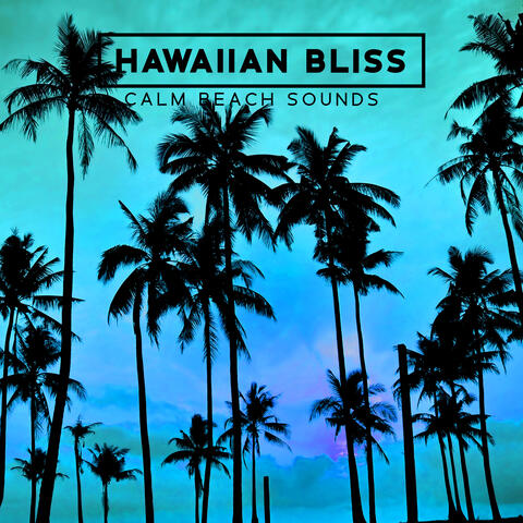 Calm Ocean Sounds|Hawaiian Bliss
