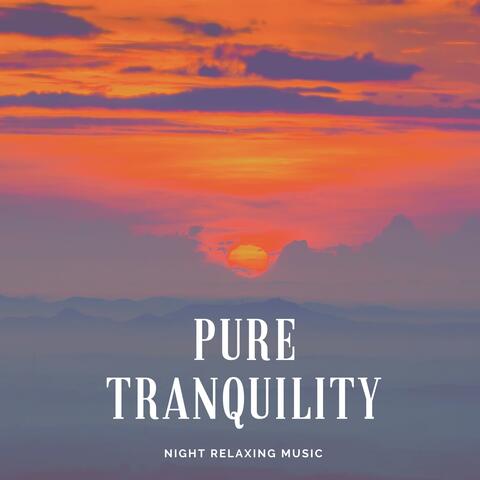 Pure Tranquility Night Relaxing Music
