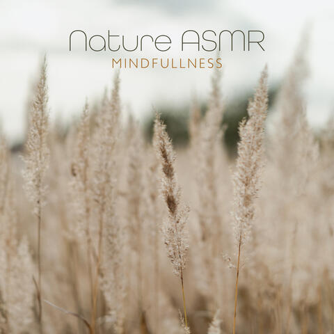 Nature ASMR: Mindfullness