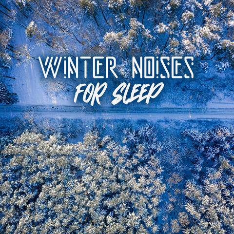 Winter Noises for Sleep: Music to Fall Asleep Fast