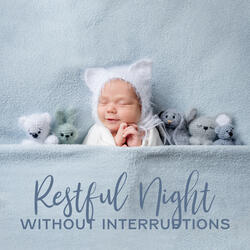 Night Lullaby Paradise