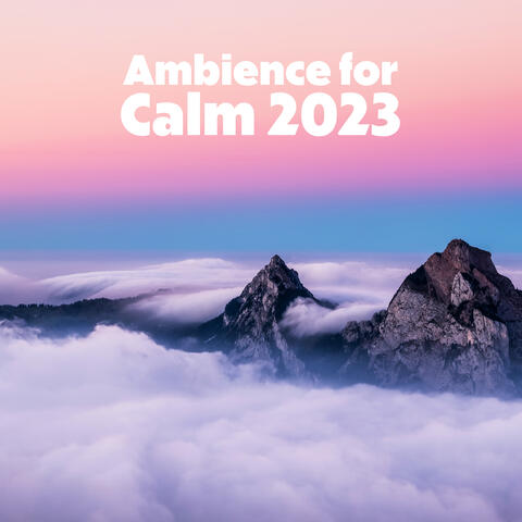 Ambience for Calm 2023