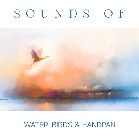 Sounds of Water, Birds & Handpan
