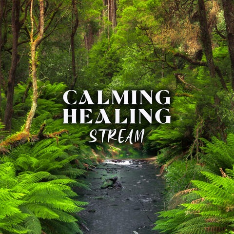 Calming Healing Stream: Recovery Sounds for Anxiety and Stress