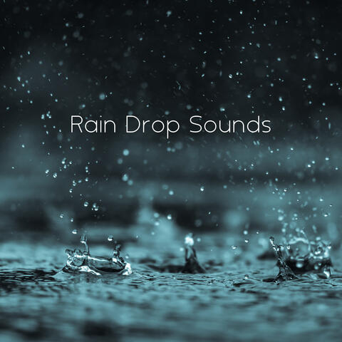 Rain Drop Sounds: Calm Rain to Improve Quality of Sleep or Study