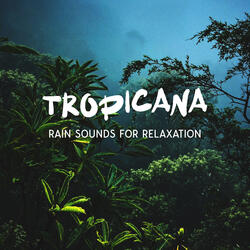 Walking in the Forest