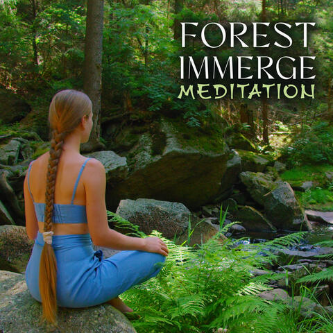 Forest Immerge Meditation: Sounds of Nature for Meditation Practice