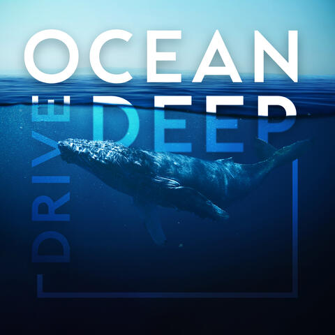 Ocean Deep Dive: Sounds of Whales and Dolphins for Sleep