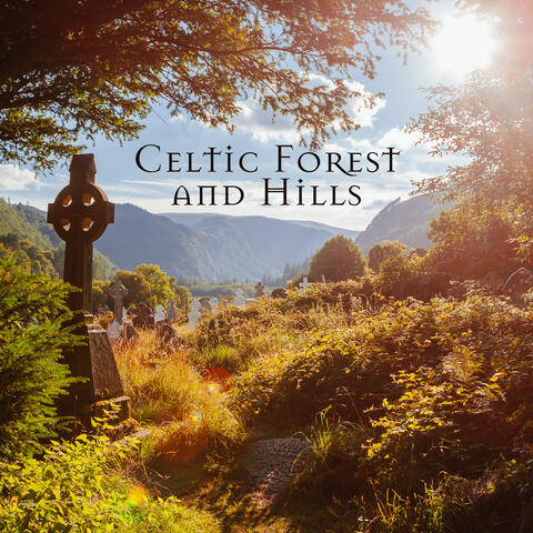Celtic Forest and Hills - Instrumental Celtic Melodies, Peaceful Nature, Blissful State for Body and Mind