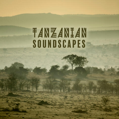Tanzanian Soundscapes (Sounds of Savanna, Safari, and African Village)