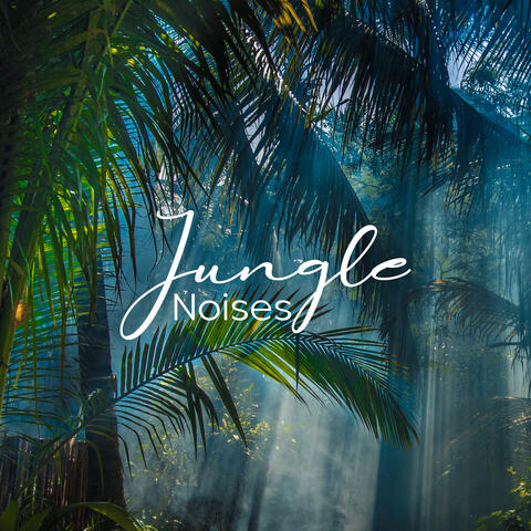 Jungle Noises: Tropical Ambience