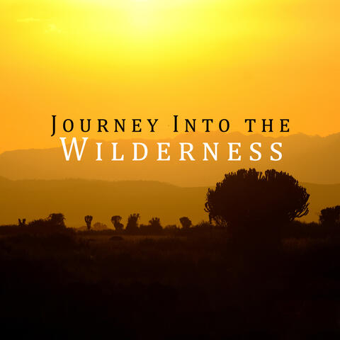 Journey Into the Wilderness: African Healing and Restful Music, Rhythmic Vibes, Shamanic Experience