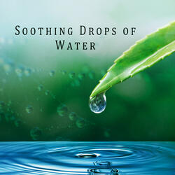 Water Drop: Relaxed and Gentle