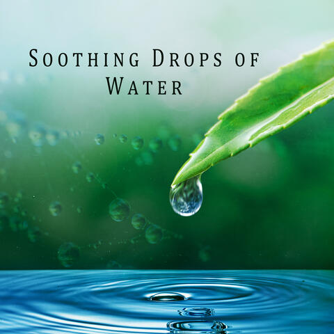 Soothing Drops of Water: Calm Down Your Nerves, Thoughts, and Emotions with Blissful Nature