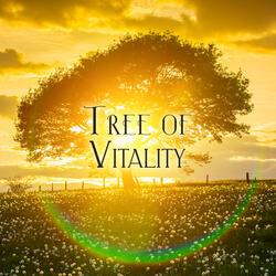 Returning to Oneness