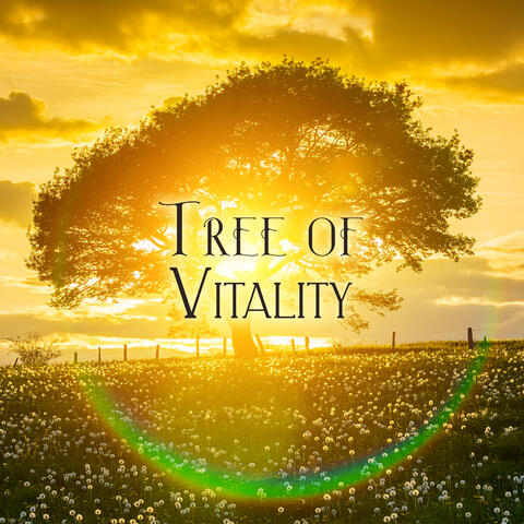 Tree of Vitality: Spiritual Awakening, Chakras Healing, Consiousness Exploration