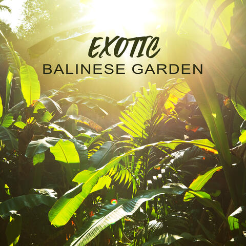 Exotic Balinese Garden - Discover Relax with Nature, Therapeutic Ambiance, Soothing Serenity