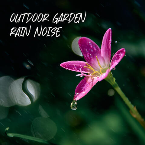 Outdoor Garden Rain Noises: Healing Nature, Positive Effect for Mood and Well-Being