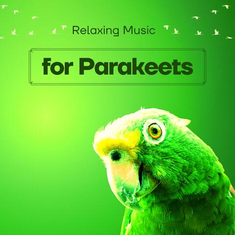 Relaxing Music for Parakeets